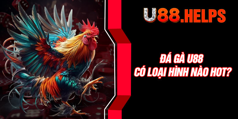 Đá gà U88 có loại hình nào hot?