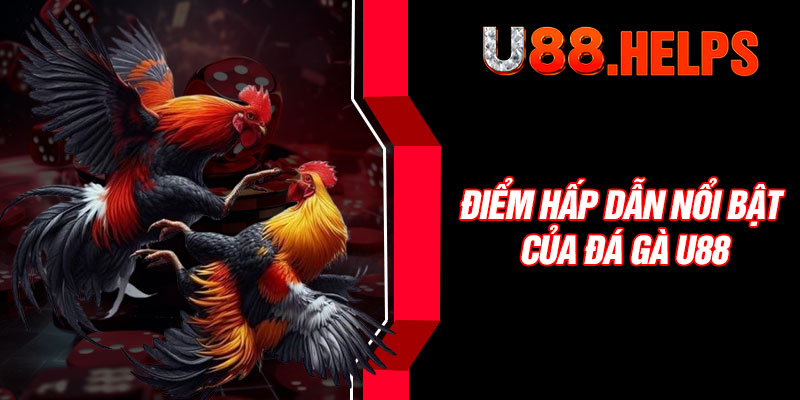 Điểm hấp dẫn nổi bật của đá gà U88