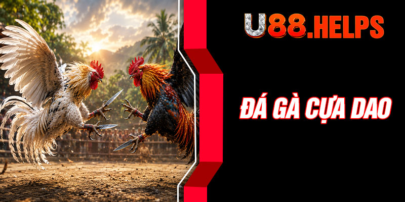 Đá Gà Cựa Dao