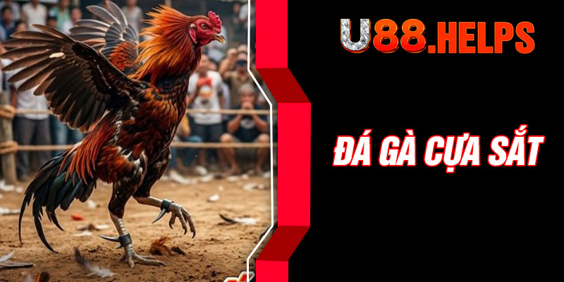 Đá Gà Cựa Sắt