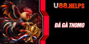 Đá Gà Thomo
