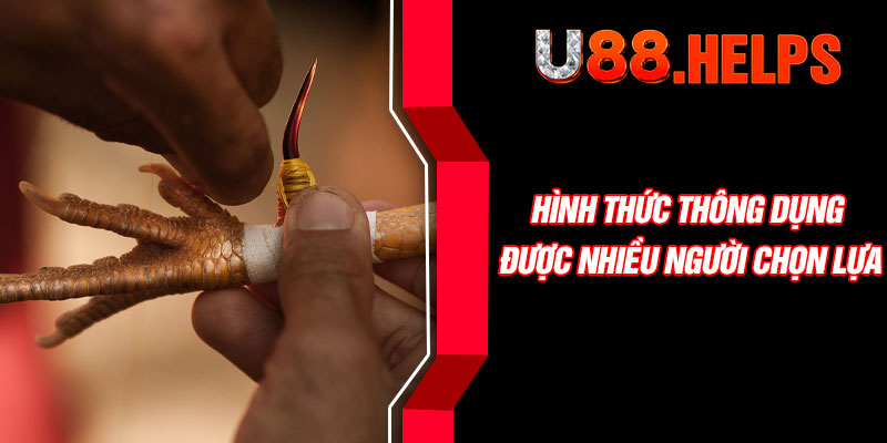 Hình thức thông dụng được nhiều người chọn lựa
