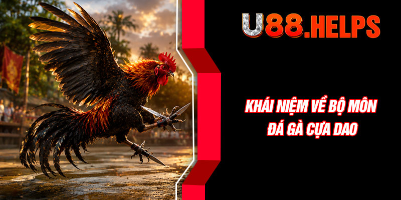Khái niệm về bộ môn đá gà cựa dao