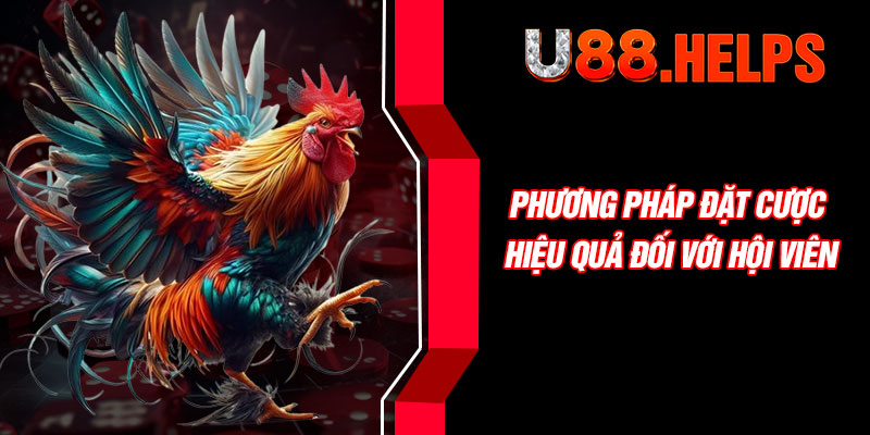Phương pháp đặt cược hiệu quả đối với hội viên