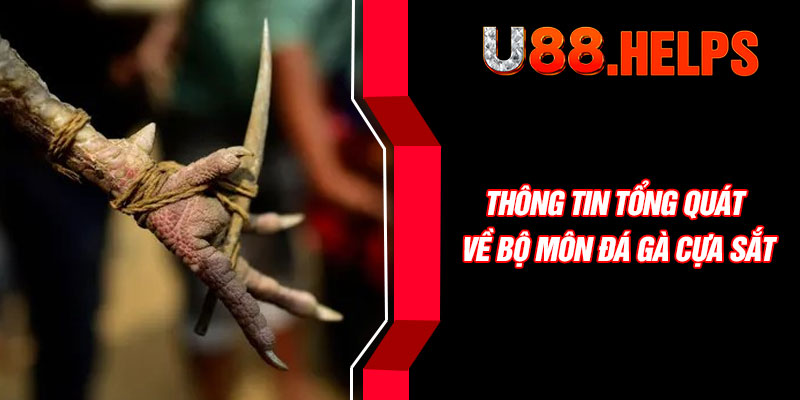 Thông tin tổng quát về bộ môn đá gà cựa sắt