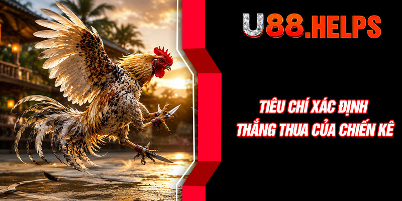 Tiêu chí xác định thắng thua của chiến kê
